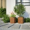 Garden Planter Set of 2 Rust-brown Weathering steel Medium