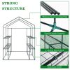 Greenhouse for Outdoors Indoors, Walk-in Small Greenhouse Thickened PE Cover & Heavy Duty Powder-Coated Steel, Sturdy Portable Warm House