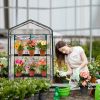 4-Tier Mini Greenhouse with Clear PVC Cover and Roll-Up Zipper Door, Removable Shelves, Rust-Resistant Steel Frame for Indoor Outdoor Gardening