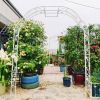 Metal Garden Arch W74.4'' x H98.4'' Garden Arbor Trellis Climbing Plants Support Rose Arch Outdoor Arch